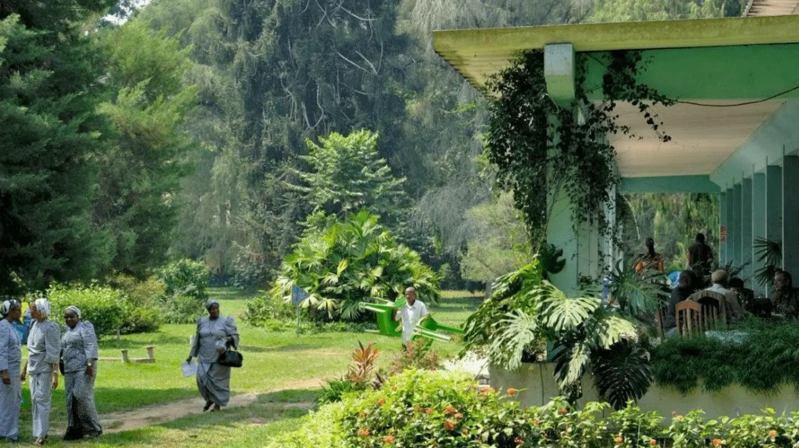 Jardin Botanique de Kisantu, plus grand jardin botanique d'Afrique centrale