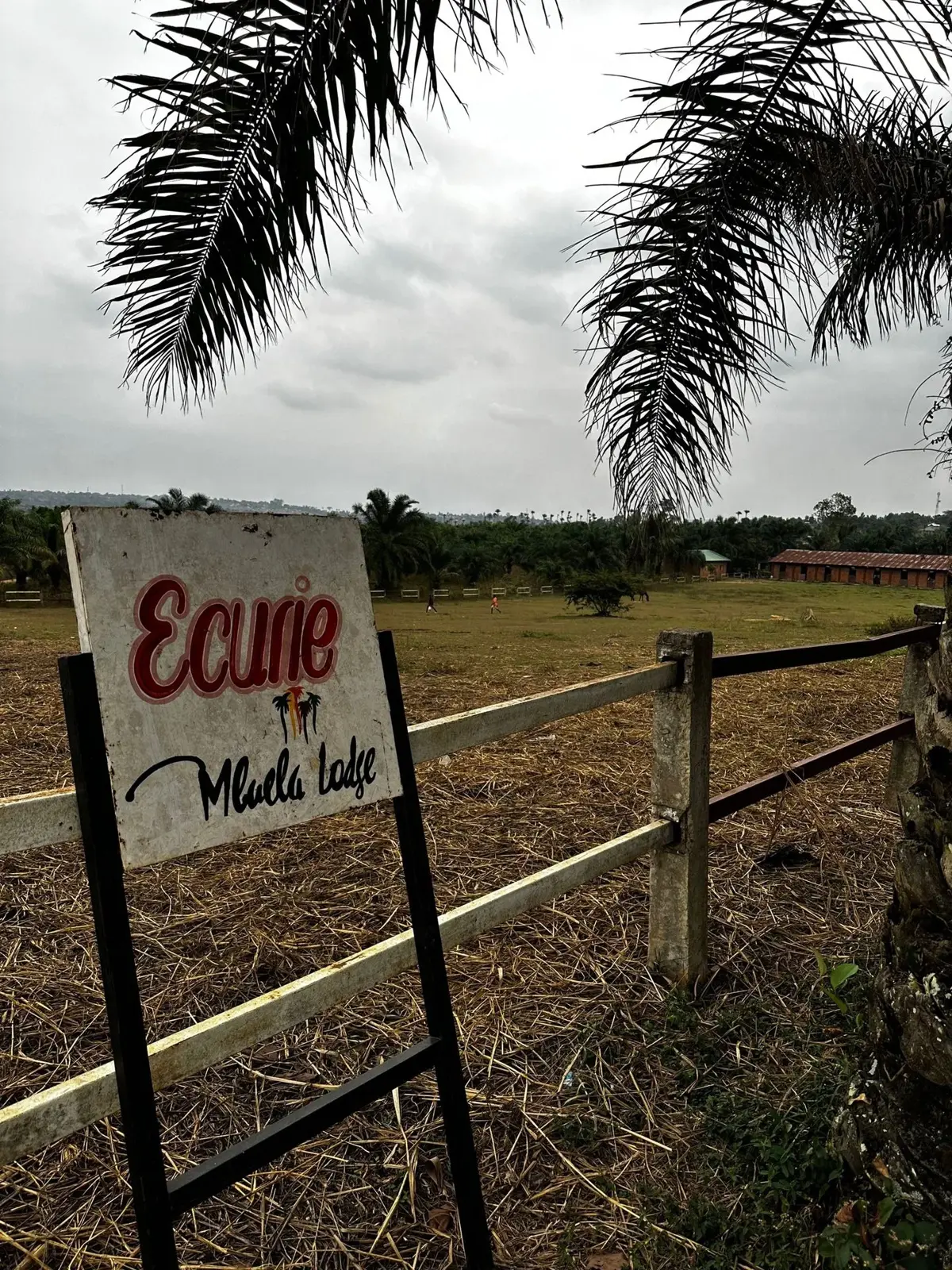 Mbuela Lodge, hébergement en pleine nature près de Kinshasa — photo 11