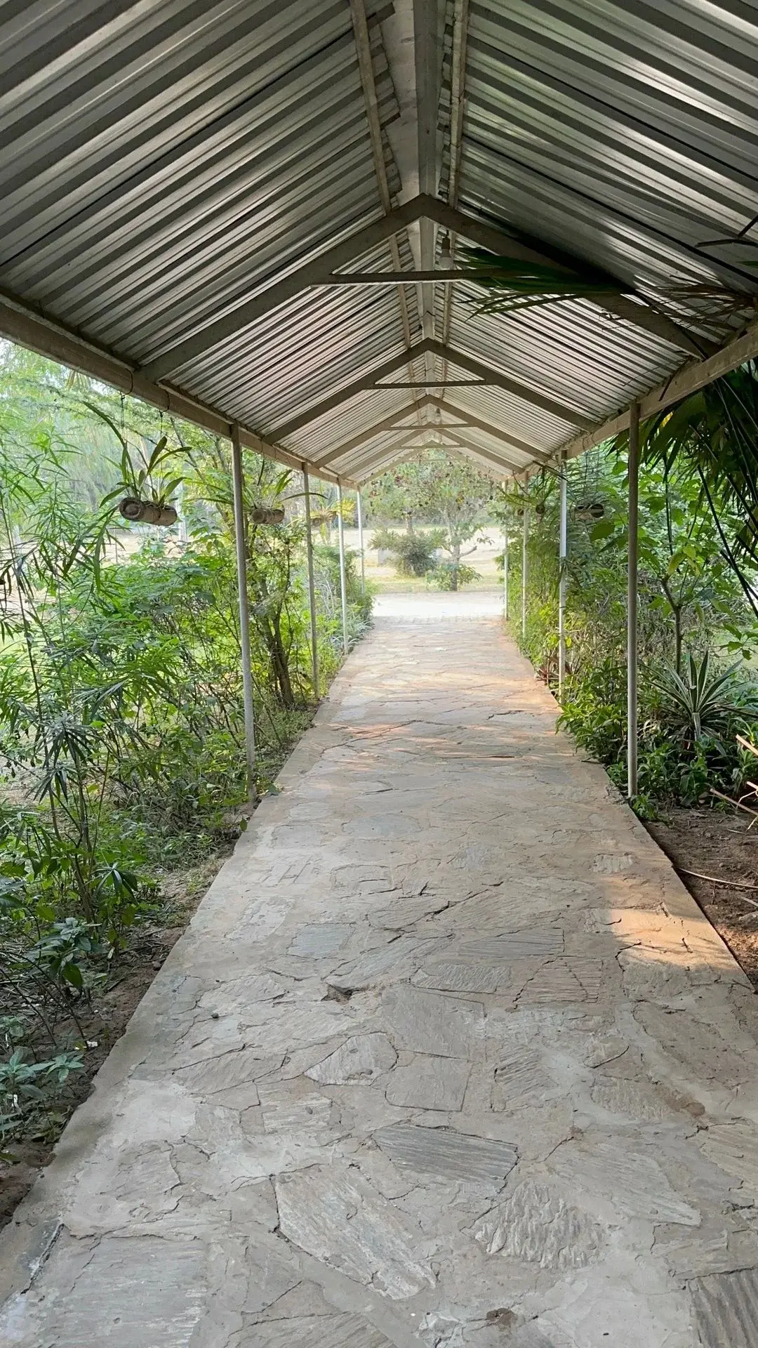 Mbuela Lodge, hébergement en pleine nature près de Kinshasa — photo 12