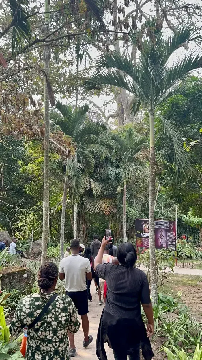 Seli Safari Resort à Zongo, Congo — vue sur les chutes — photo 4