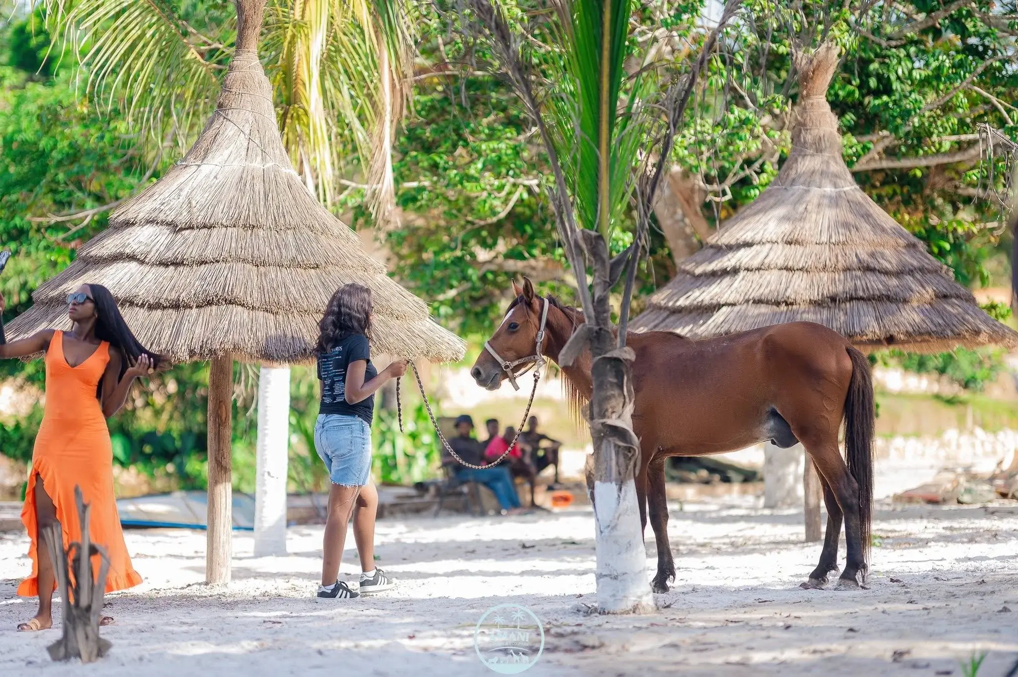 Chevaux et paillottes à Amani Resort & Eco Park