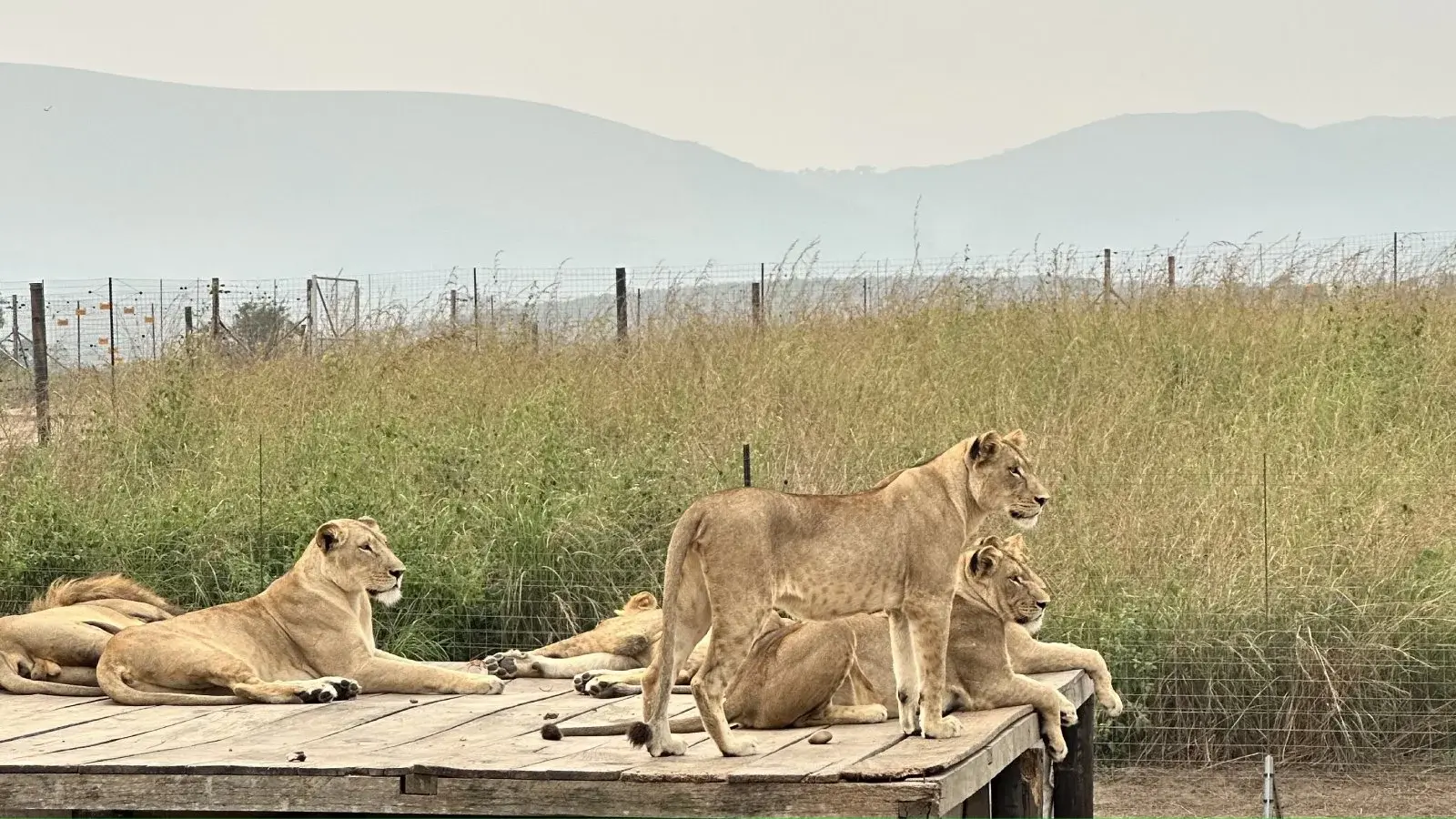 Parc de la Vallée de la Nsele, espace naturel à l'est de Kinshasa